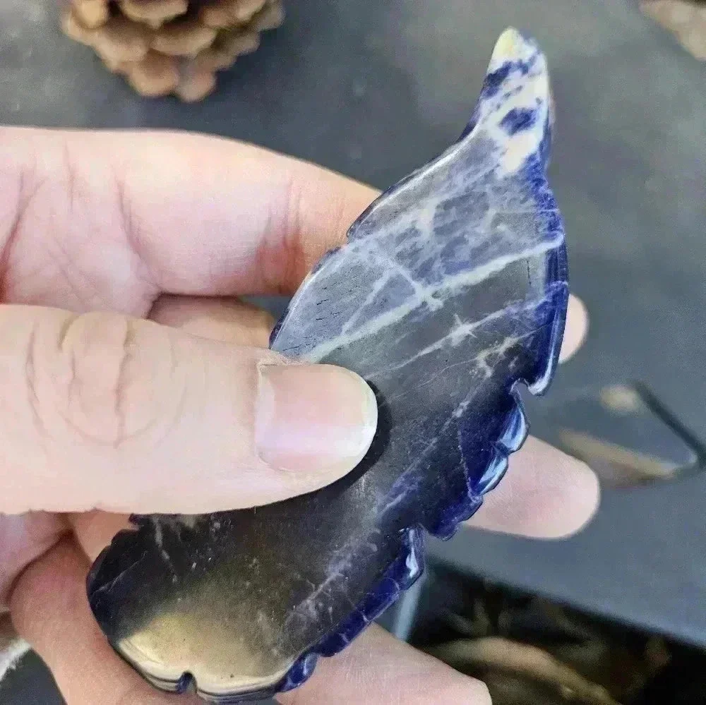 🔮 Sodalite Natural Crystal Feather Stone Carving Figure - Picture 4 of 4